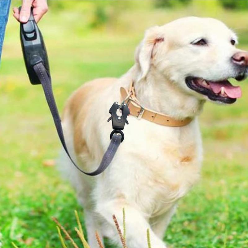 Fermoir de laisse pour chien,  - Collar Stay Metal avis et prix